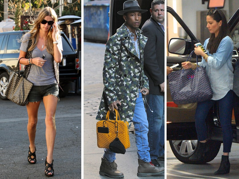 Celebrities With Goyard Bag | vlr.eng.br