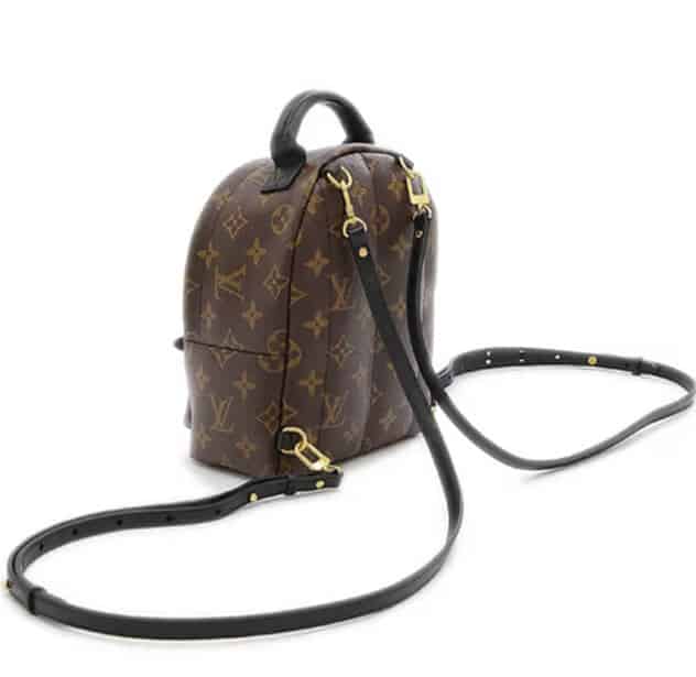 LOUIS VUITTON PALM SPRINGS MINI BACKPACK DUPE