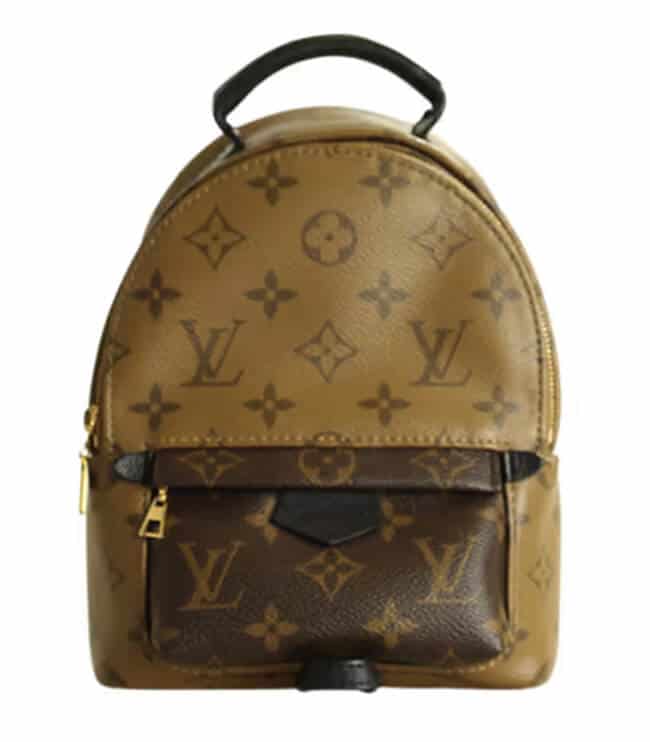 BOUJEE ON A BUDGET  LOUIS VUITTON PALM SPRINGS BACKPACK MINI